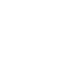 To Vetenskapsrådet start page